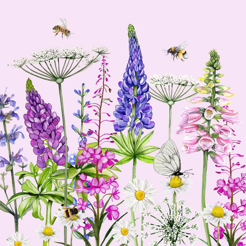 Wenskaart gekleurde veldbloemen vlinder en bij - Wenskaarten Wenskaarten - Wenskaart gekleurde veldbloemen vlinder en bij