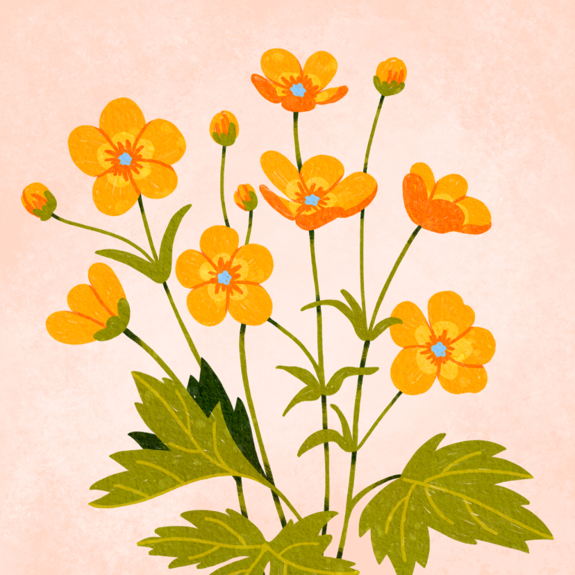 Wenskaarten - Wenskaart gele bloemetjes boterbloem