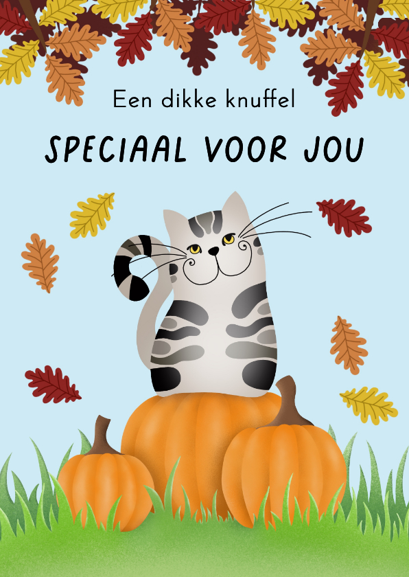 Wenskaart - Herfst Kat op pompoenen - Wenskaarten Wenskaarten - Wenskaart - Herfst Kat op pompoenen