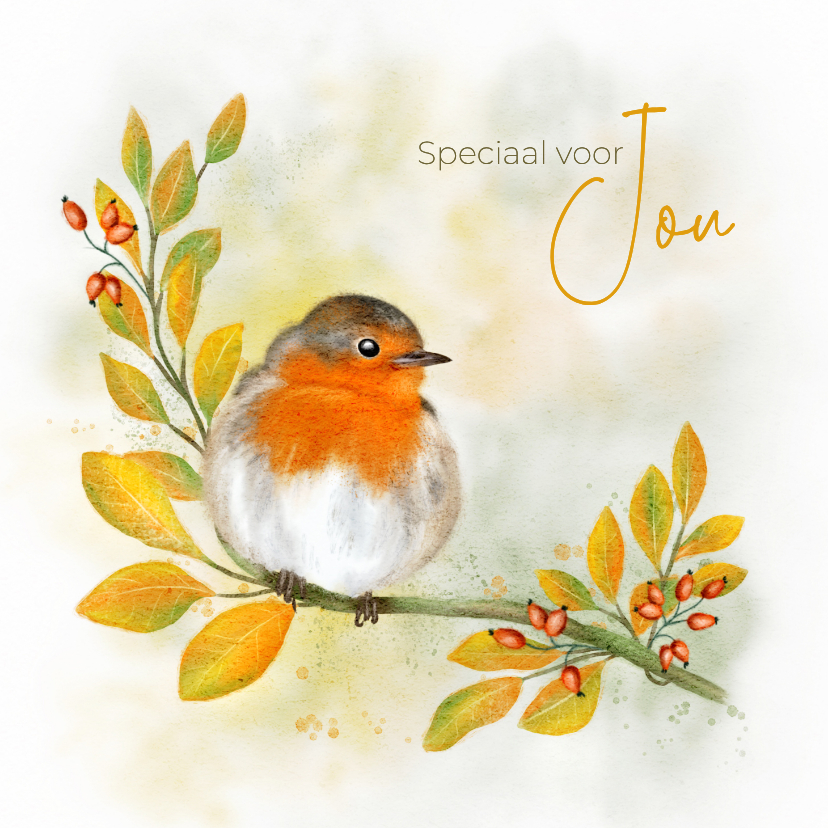Wenskaarten - Wenskaart herfstimpressie met roodborstje