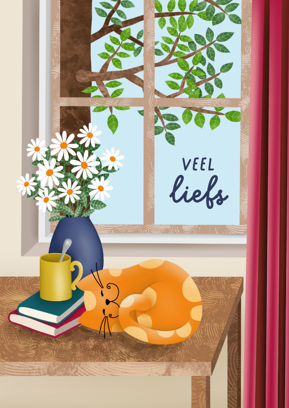 Wenskaarten - Wenskaart kat slaapt voor het raam