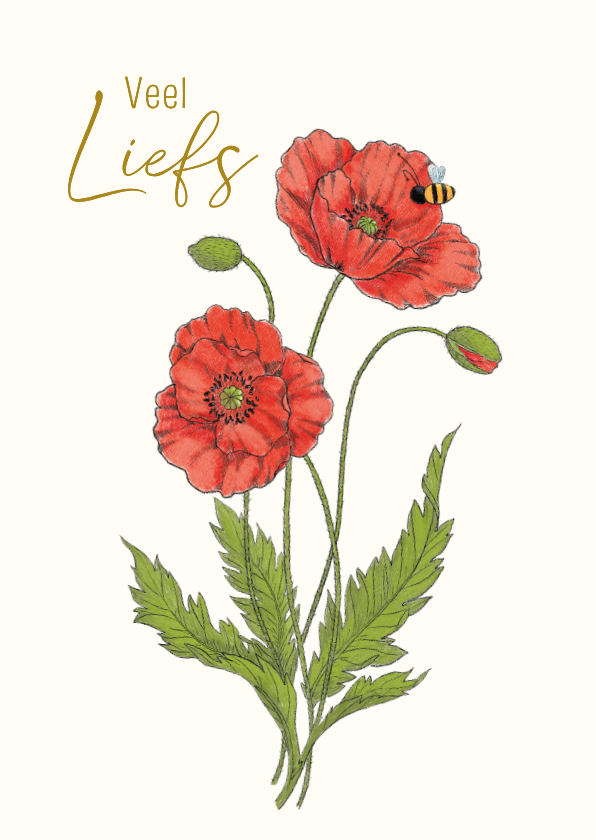 Wenskaarten - Wenskaart klaproos met hommel
