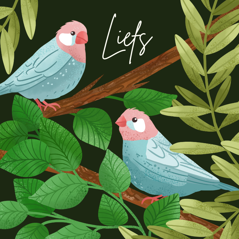 Wenskaarten - Wenskaart liefs met vogels