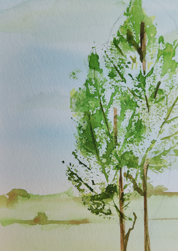 Wenskaart met boom - Wenskaarten Wenskaarten - Wenskaart met boom