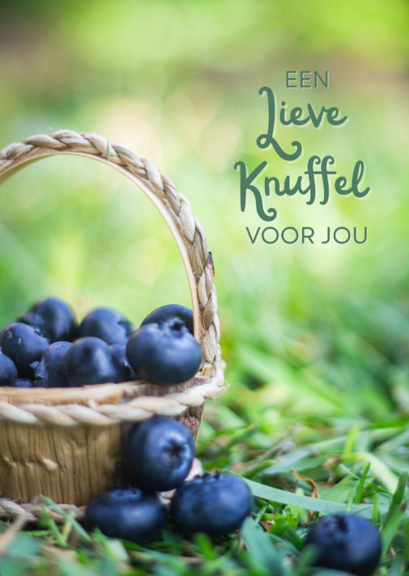 Wenskaarten - Wenskaart met een emmertje bosbessen op groen gras