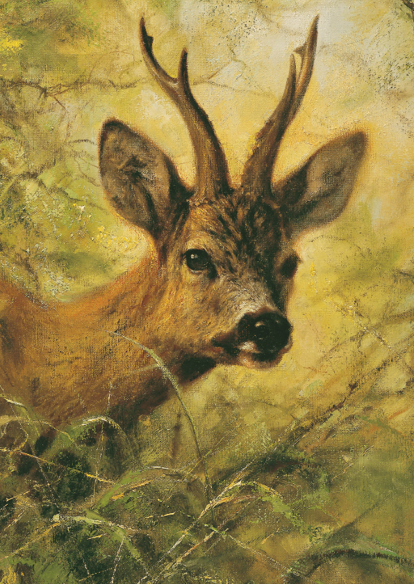 Wenskaarten - Wenskaart met mooi wild hert
