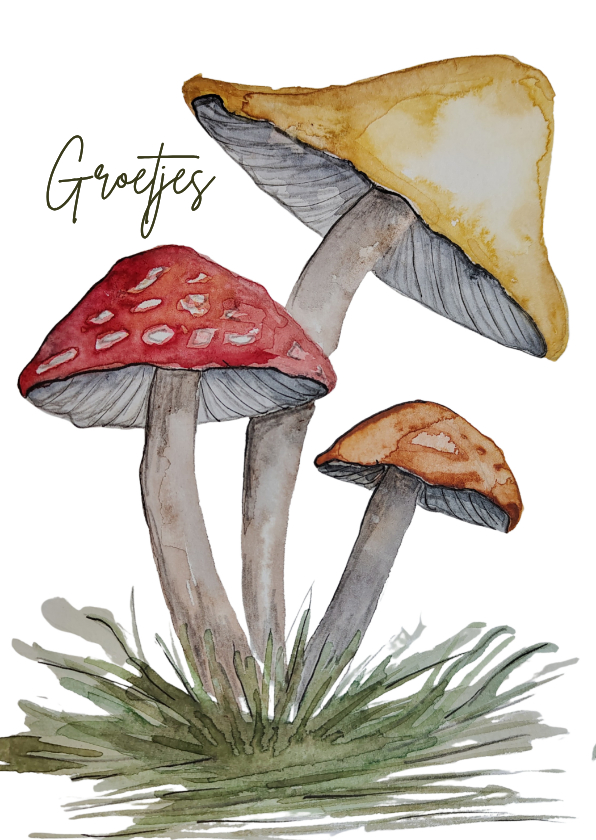 Wenskaarten - Wenskaart met paddestoelen groetjes