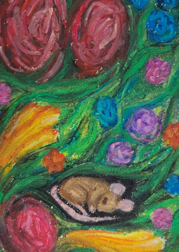 Wenskaarten - Wenskaart met slapend muisje