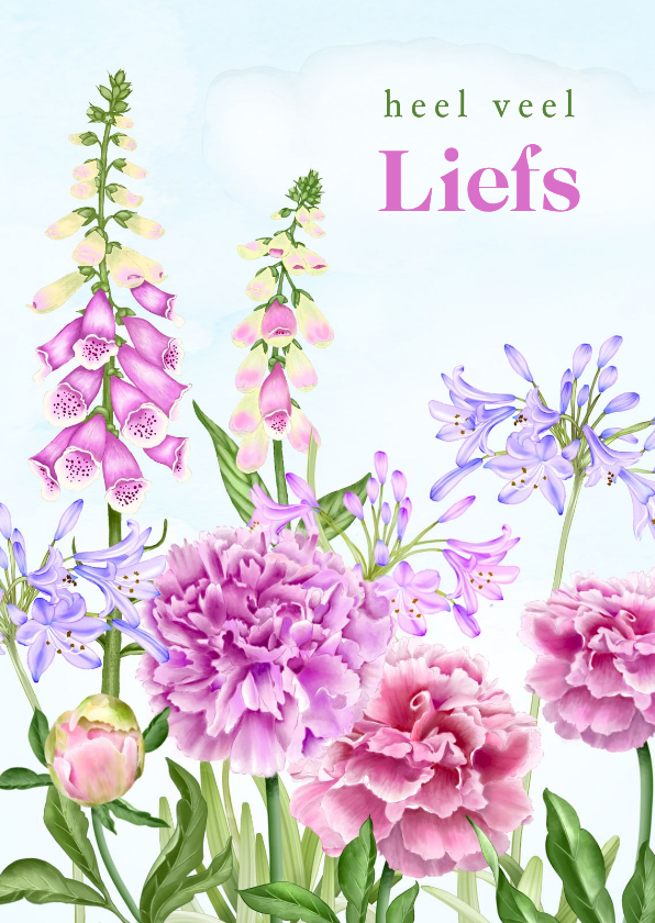 Wenskaarten - Wenskaart met zomerbloemen lila en roze