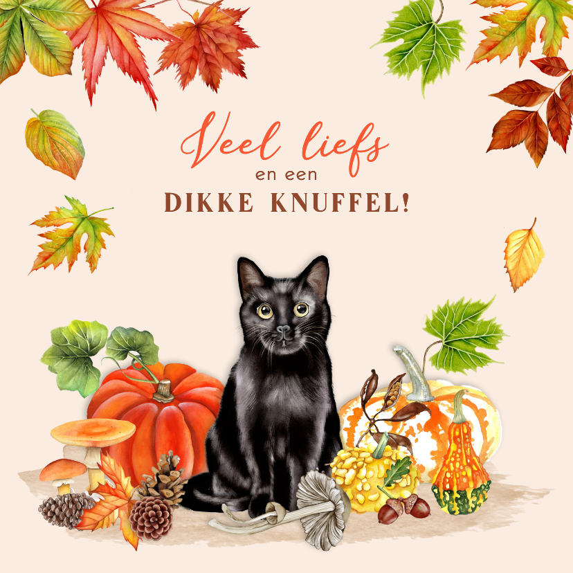 Wenskaart met zwarte kat in de herfst - Wenskaarten Wenskaarten - Wenskaart met zwarte kat in de herfst