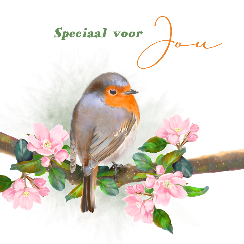 Wenskaarten - Wenskaart roodborstje met appelbloesem