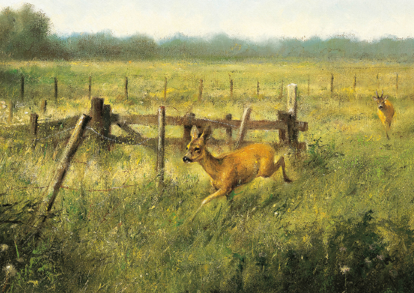 Wenskaarten - Wenskaart twee herten