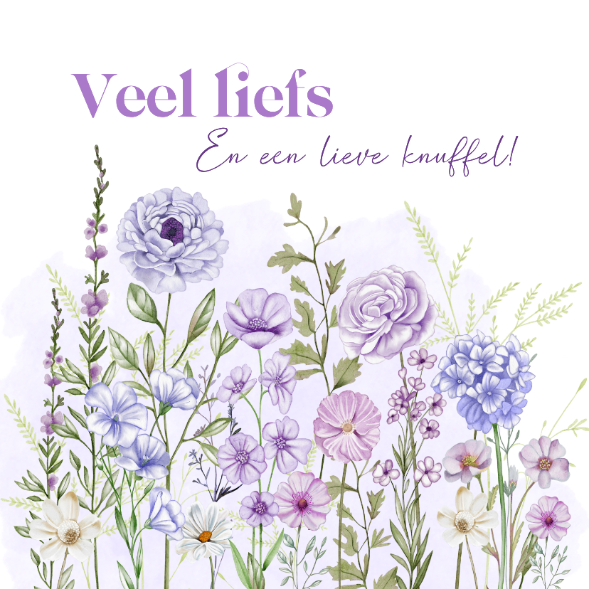 Wenskaarten - Wenskaart veldbloemen in paarse kleuren