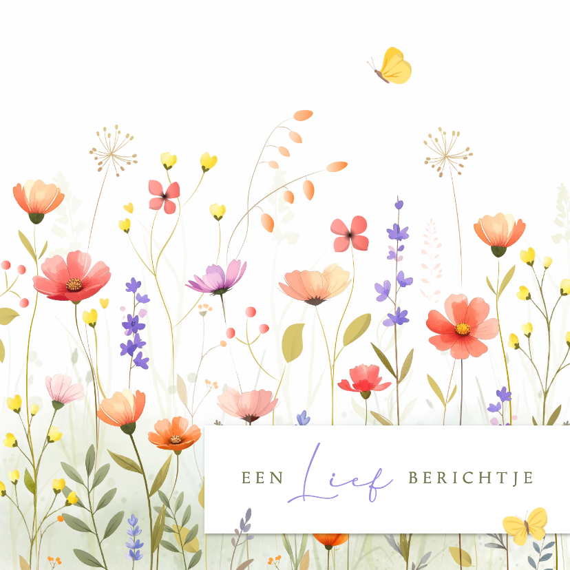 Wenskaarten - Wenskaart wilde bloemenveld met verplaatsbare vlinders