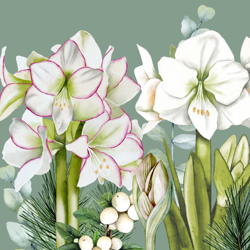 Wenskaarten - Wenskaart witte amaryllis eucalyptus