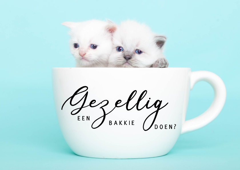 Wenskaarten - Zomaar kaart - Kittens - Gezellig een bakkie doen?