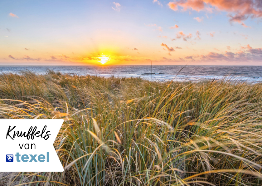 Wenskaarten - Zomaar kaart met kusjes vanaf Texel zeezicht 