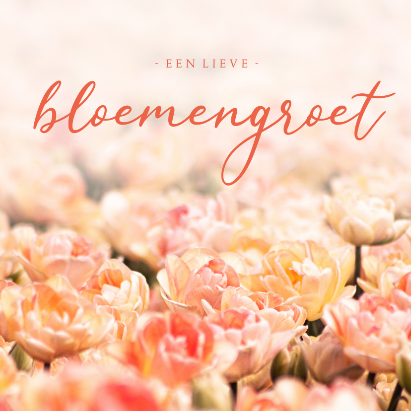 Wenskaarten - Zomaar kaart oranje tulpen lieve bloemengroet