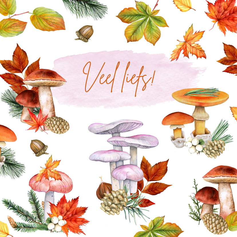 Wenskaarten - Zomaar paddestoelen herfst