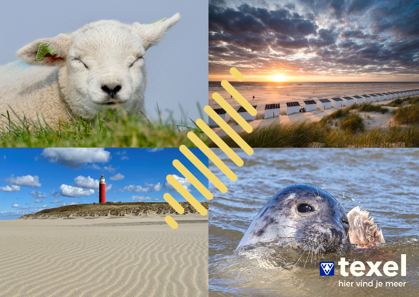 Zomaarkaart zomers kaartje van Texel - Wenskaarten Wenskaarten - Zomaarkaart zomers kaartje van Texel
