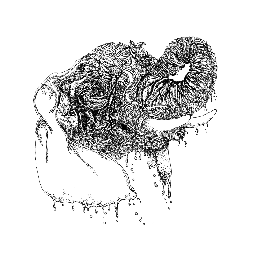 Olifant illustratie zwart-wit - Woonkaarten Woonkaarten - Olifant illustratie zwart-wit