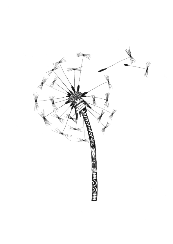 Paardebloem zwart/wit illustratie - Woonkaarten Woonkaarten - Paardebloem zwart/wit illustratie