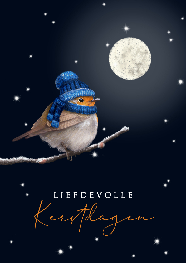 Zakelijke kerstkaarten - Kerstkaart roodborstje met gebreide muts