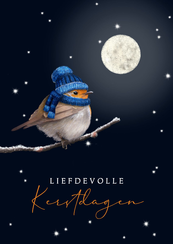 Kerstkaart roodborstje met gebreide muts - Zakelijke kerstkaarten Zakelijke kerstkaarten - Kerstkaart roodborstje met gebreide muts