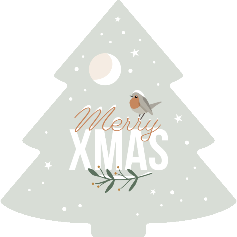 Zakelijke kerstkaarten - Zakelijke kerstkaart 'Merry XMAS' wintersfeer en roodborstje