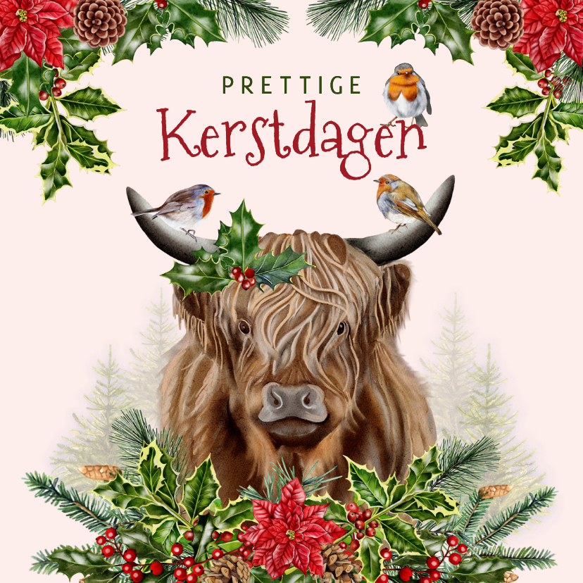 Zakelijke kerstkaarten - Zakelijke kerstkaart schotse hooglander roodborstjes