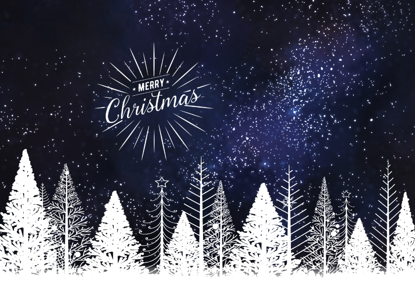 Zakelijke kerstkaart witte bomen tegen donkere sterrenhemel - Zakelijke kerstkaarten Zakelijke kerstkaarten - Zakelijke kerstkaart witte bomen tegen donkere sterrenhemel