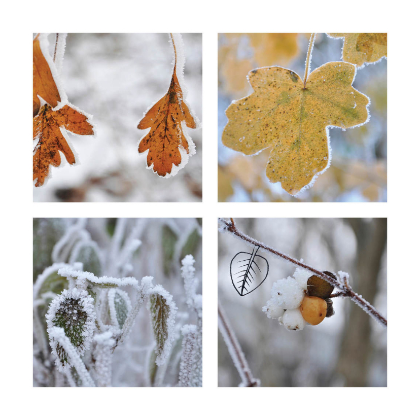 Ansichtkaart met natuur foto's - Zomaar kaarten Zomaar kaarten - Ansichtkaart met natuur foto's