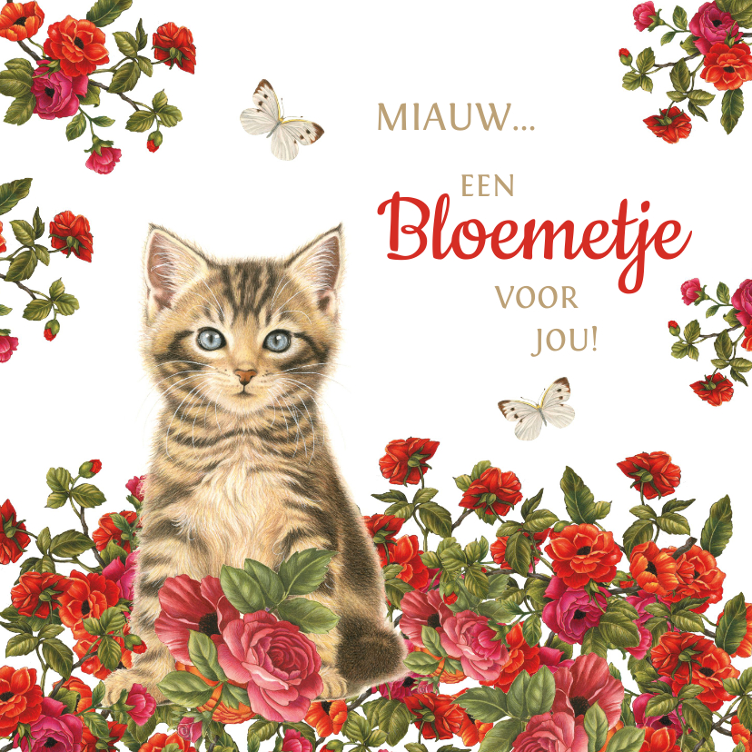Kaart met kitten miauw een bloemetje voor jou - Zomaar kaarten Zomaar kaarten - Kaart met kitten miauw een bloemetje voor jou