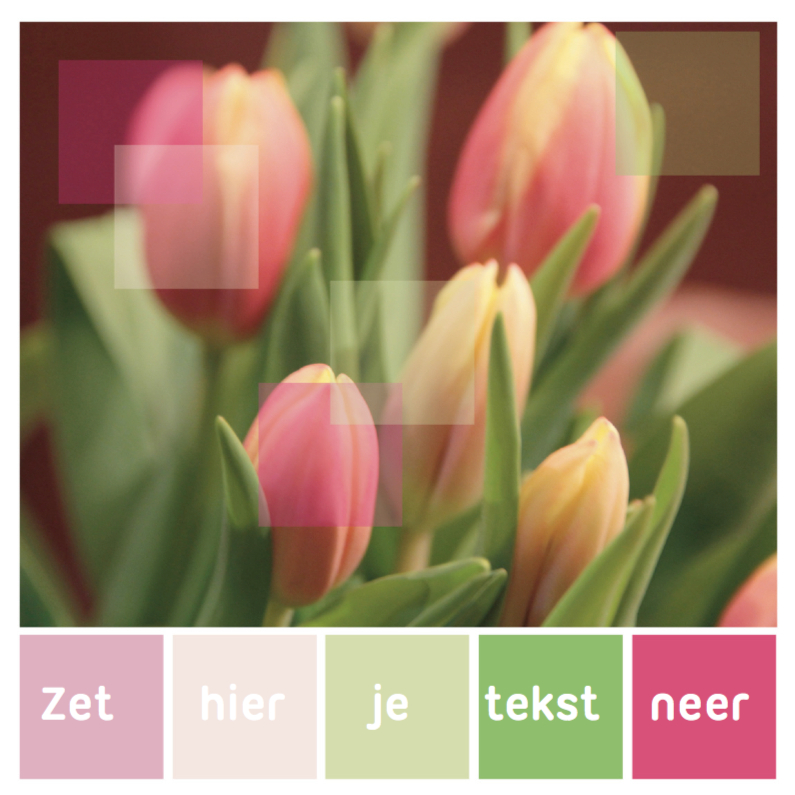 Kleurpalet kaart geelrose tulp - Zomaar kaarten Zomaar kaarten - Kleurpalet kaart geelrose tulp