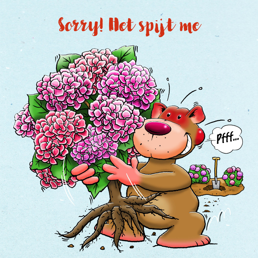 Leuke sorry kaart voor een vriendin met Hortensia-struik - Zomaar kaarten Zomaar kaarten - Leuke sorry kaart voor een vriendin met Hortensia-struik