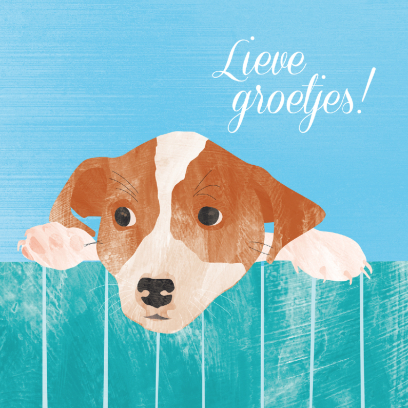 Lieve groetjes van schattig hondje - Zomaar kaarten Zomaar kaarten - Lieve groetjes van schattig hondje