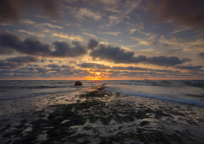 Mooie zon langs de kust - Zomaar kaarten Zomaar kaarten - Mooie zon langs de kust