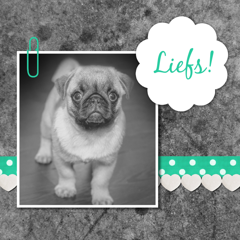 Schattige hond met linten - DH - Zomaar kaarten Zomaar kaarten - Schattige hond met linten - DH