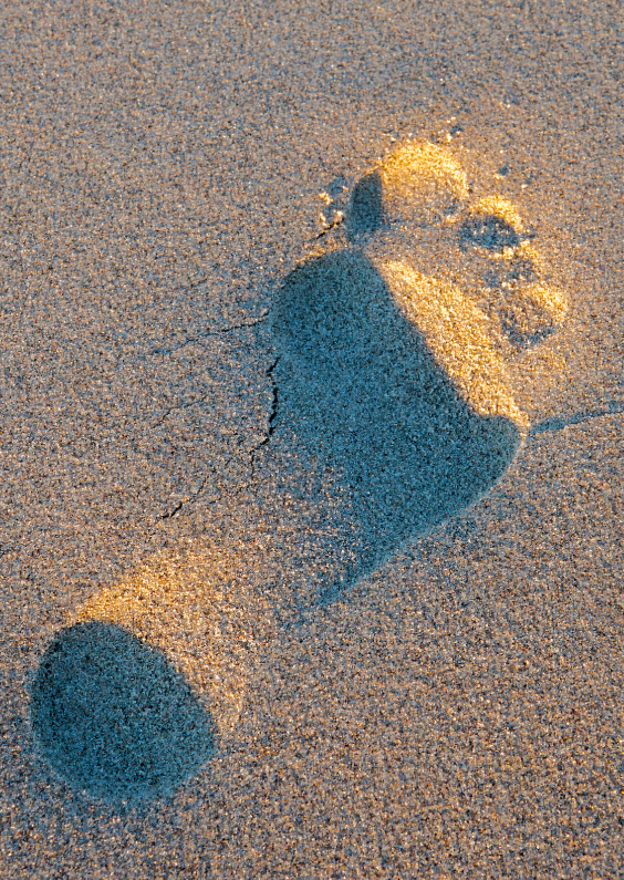 Voetstap in het zand - Zomaar kaarten Zomaar kaarten - Voetstap in het zand