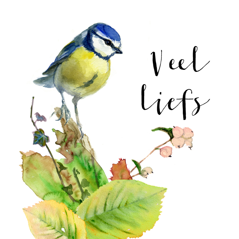 Warme groet met lief vogeltje - Zomaar kaarten Zomaar kaarten - Warme groet met lief vogeltje