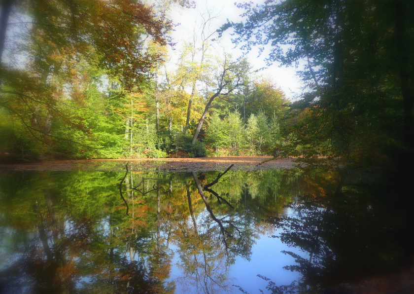 weerspiegeling - Zomaar kaarten Zomaar kaarten - weerspiegeling