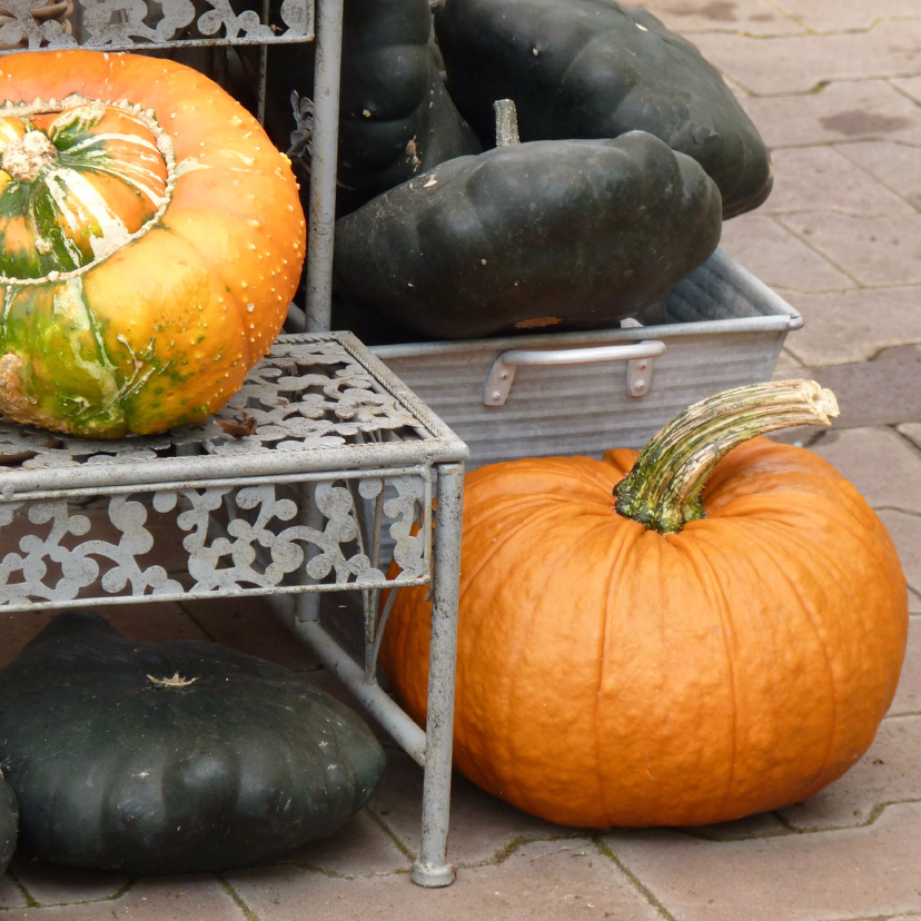 Wenskaart herfst pompoenen - Zomaar kaarten Zomaar kaarten - Wenskaart herfst pompoenen