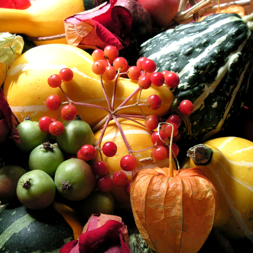 wenskaart Herfst stilleven - Zomaar kaarten Zomaar kaarten - wenskaart Herfst stilleven