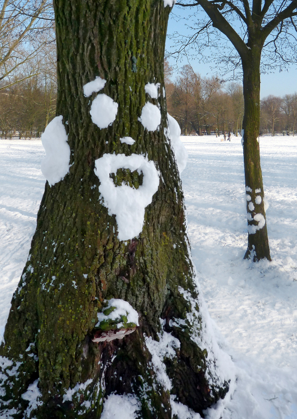 Wenskaart Sneeuwpret boom - Zomaar kaarten Zomaar kaarten - Wenskaart Sneeuwpret boom