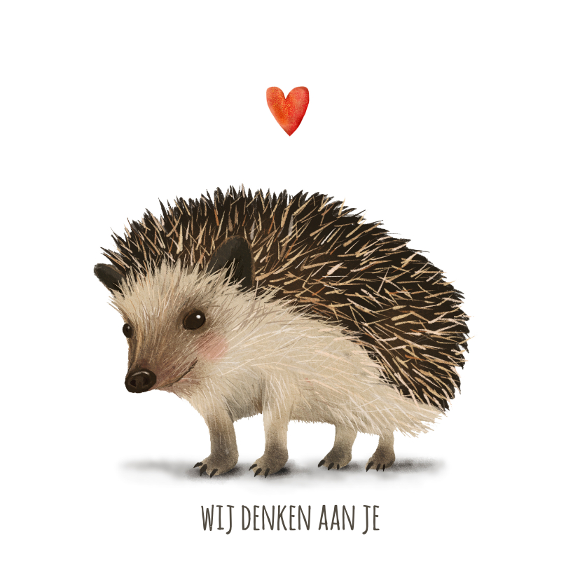 Wij denken aan je, kaart met egeltje en hartje - Zomaar kaarten Zomaar kaarten - Wij denken aan je, kaart met egeltje en hartje