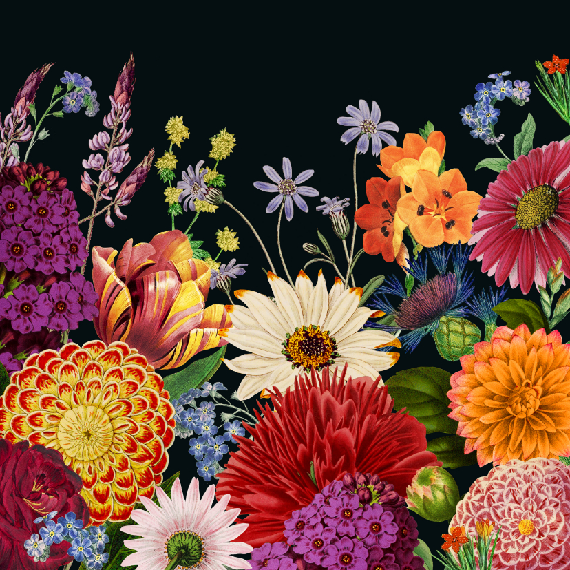 Zomaar, bloemen voor jou - Zomaar kaarten Zomaar kaarten - Zomaar, bloemen voor jou