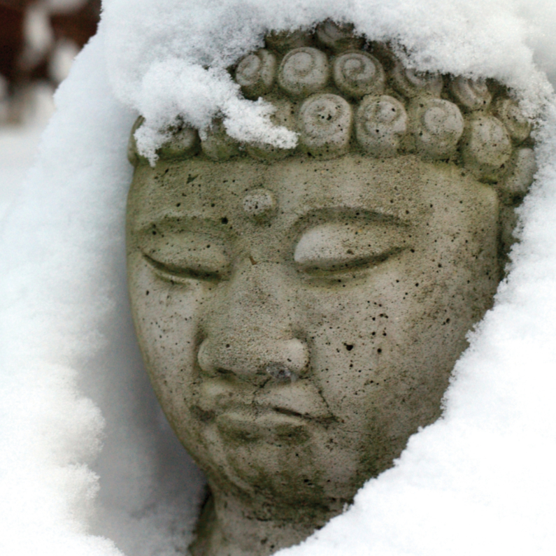 Zomaar - Boedha in de sneeuw- MW - Zomaar kaarten Zomaar kaarten - Zomaar - Boedha in de sneeuw- MW