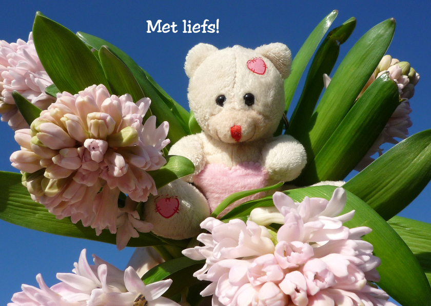 Zomaar een Lieve Knuffel - Zomaar kaarten Zomaar kaarten - Zomaar een Lieve Knuffel