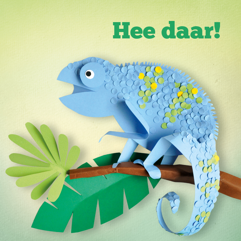 Zomaar Hee daar kameleon - Zomaar kaarten Zomaar kaarten - Zomaar Hee daar kameleon