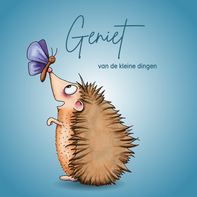 Zomaar kaart egel met vlinder op zijn neus - Zomaar kaarten Zomaar kaarten - Zomaar kaart egel met vlinder op zijn neus
